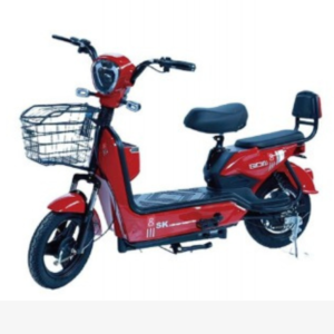 Electric Bike – SH-01